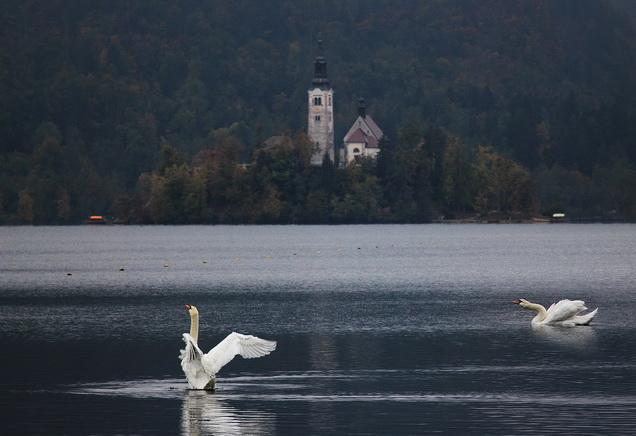 Apartment Villa Vltava Bled Exteriér fotografie